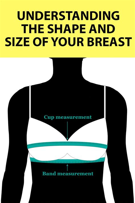 long hair big breasts|The 12 Different Breast Shapes and Types .